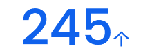 245个